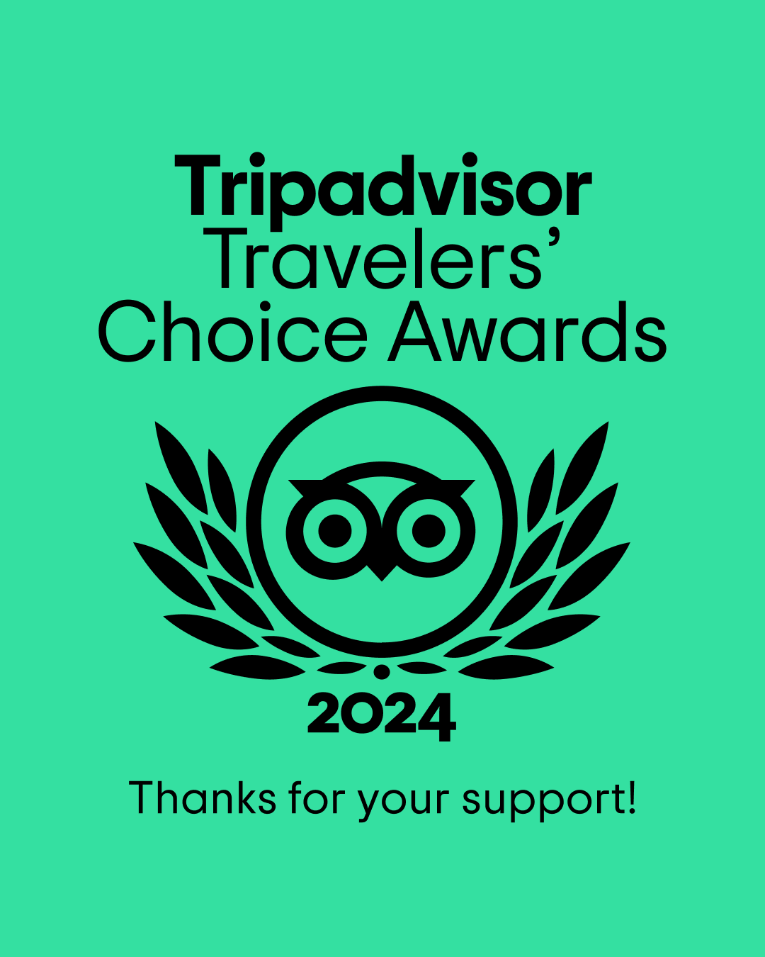 Trip Advisor Travellers Choice 2024